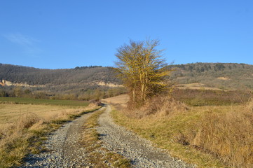 Paysage aveyronnais