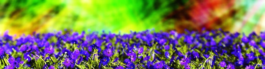 Spring floral background