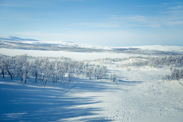 A beautiful white landscape of a snowy Norwegian winter day with skiing tracks