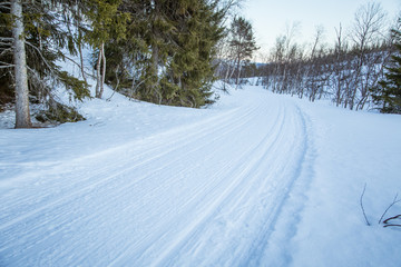Fototapeta premium A beautiful white landscape of a snowy Norwegian winter day with tracks for snowmobile or dog sled