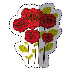 red many roses with oval petals icon, vector illustraction design