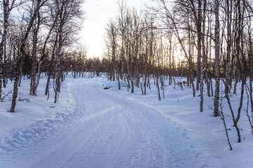 A beautiful white landscape of a snowy Norwegian winter day with tracks for snowmobile or dog sled
