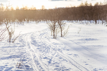 A beautiful white landscape of a snowy Norwegian winter day with tracks for snowmobile or dog sled
