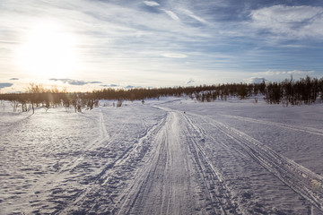 Fototapeta na wymiar A beautiful white landscape of a snowy Norwegian winter day with tracks for snowmobile or dog sled