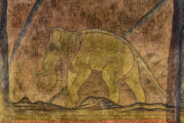 Wall paintings, ancient elephant.