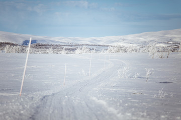 A beautiful white landscape of a snowy Norwegian winter day with tracks for snowmobile or dog sled
