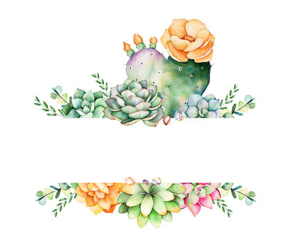 Colorful floral frame with leaves,succulent plant,branches and cactus.World of succulents and cactus collection.Perfect for wedding,frame,quotes,pattern,greeting card,logo,invitations,lettering etc