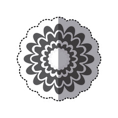 contour flower with abstract petals icon, vector illustraction design