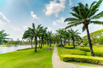 Landscape with jogging track at green park and no people