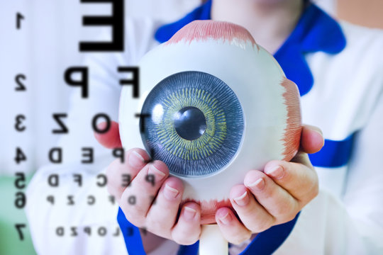 Ophthalmology oculus sample closeup. Ophthalmology, eye model close-up. The ophthalmologist is holding a model of the eye. Chart test for ophthalmologist doctor