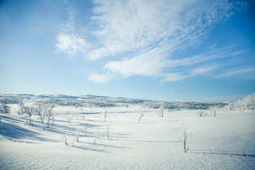 A beautiful white landscape of a snowy Norwegian winter day