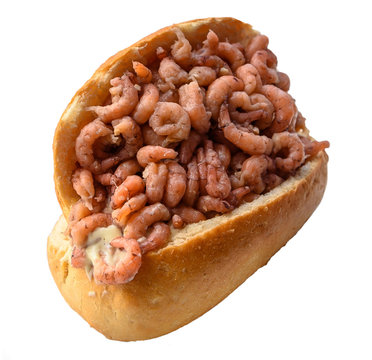 Krabbenbr&ouml;tchen - freigestellt