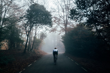 A professional male cyclist riding his bike in a dark autumn forest in the fog