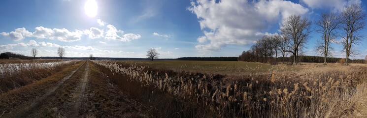 Panorama droga © michalsen