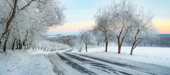 Winter Landscape with a snowy road and frosty trees
