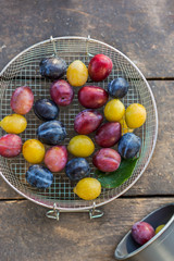 Organic red, blue and yellow plums in the sieve on the wooden table. Dark rustic style, top view
