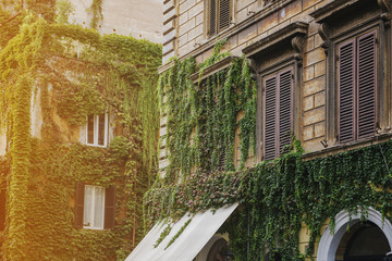 Beautiful architecture and vegetation in Rome.