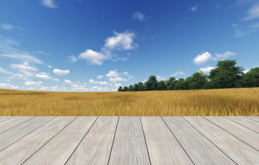 Wood terrace with landscape 