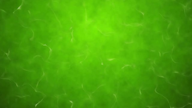 Green poisonous water seamless loopable texture animation. Computer generated.