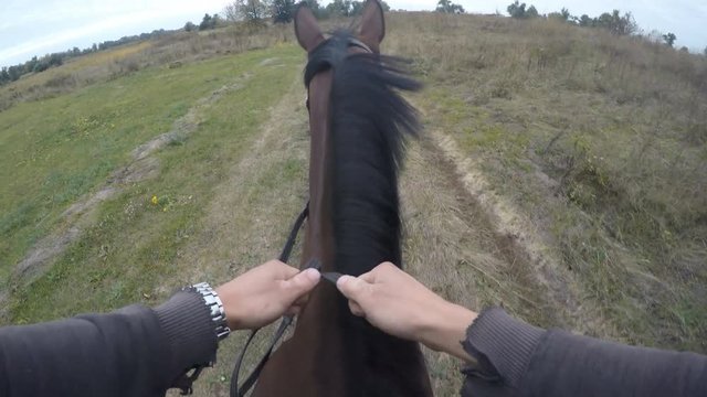 First person view of riding a horse. Point of view of rider walking at stallion at nature. Pov motion. Close up