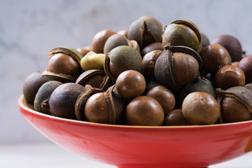Macadamia nuts harvest close up
