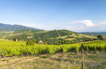 Fototapeta na wymiar Beautiful landscape and hills in Tuscany, Italy