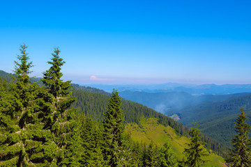 Panorama of green mountains covered with coniferous forest