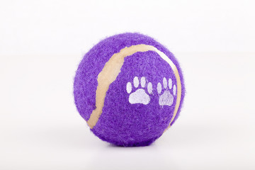 Dog toy isolated on a white background.