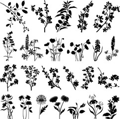 Spring floral collection