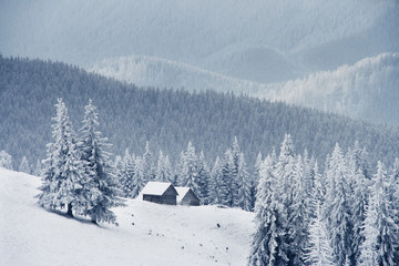 winter in mountains