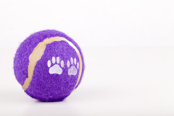 Dog toy isolated on a white background.