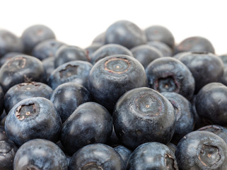 blueberry fruit isolated on white background