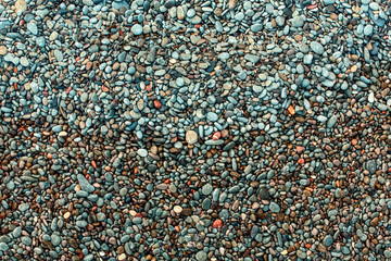 Wet pebbles on the beach.