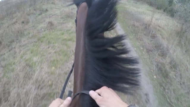 First person view of riding a horse. Point of view of rider walking at stallion at nature. Pov motion. Close up