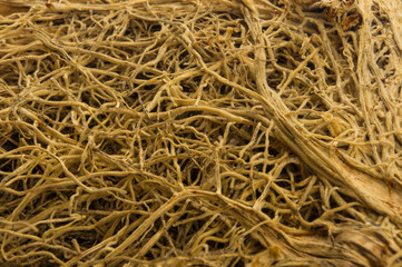 thick interlacing of roots