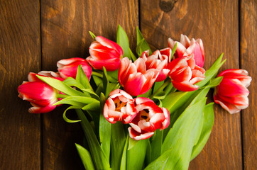 A bouquet of tulips on a tree. Beautiful tulips on wooden boards. Red-white tulips on wooden boards.