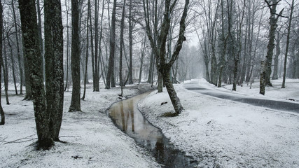 Snowfall in Kemeri park, Latvia