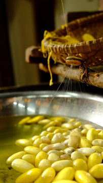 Seidenherstellung, Seidenraupen, Silk production, Vietnam
