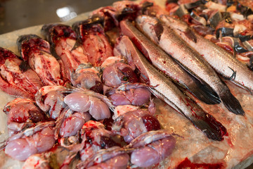 Raw fish selling in wet market