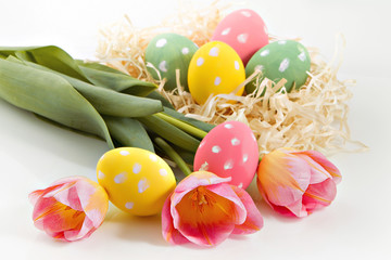 Multicolored eggs, yellow and pink tulips over white background. 