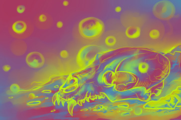 Fototapeta na wymiar The iridescent psychedelic skull of an unknown predatory animal lies in chemical vapors