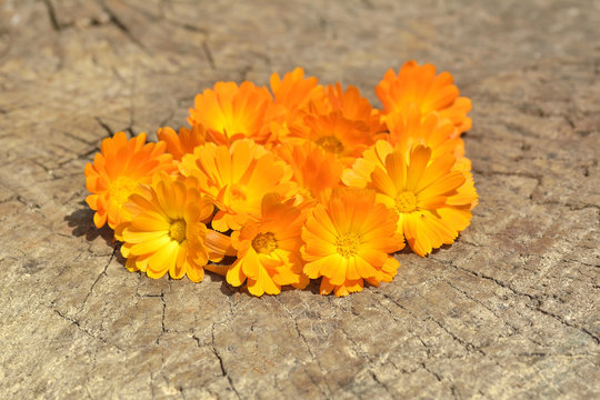bouquet of calendula (Calendula officinalis L.) on vintage wooden board.