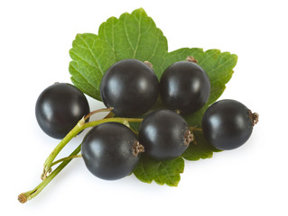 Blackcurrants