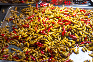 fried silkworm and red pepper