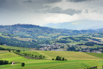 Fototapeta na wymiar Typical landscape in Marche