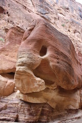 Fish or Elephant in gorge Siq in Petra, Jordan Middle East