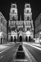 La cathédrale Sainte Croix d'Orléans, France