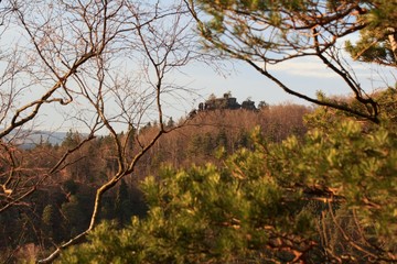 View of the landscape at sunset in National Park Bohemian Switzerland, Czech Republic
