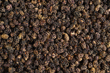 Black dried mulberry