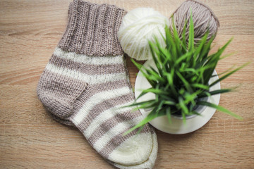 Green plant in the pot, beige and white yarn, Knitted striped beige-beige sock are on the table. Wooden background. Hobbies 